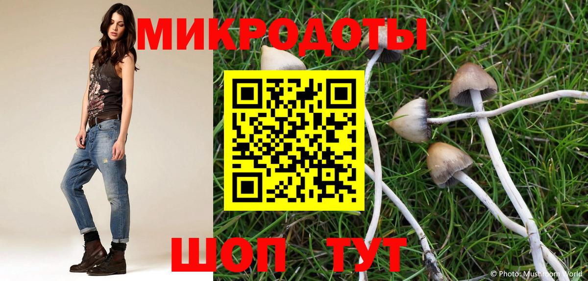 Псилоцибиновые грибы GOLDEN TEACHER Южноуральск